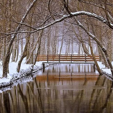 Lejlighed Casa Manuel I *