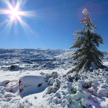 Lejlighed Casa Manuel I Sabugueiro (Guarda)