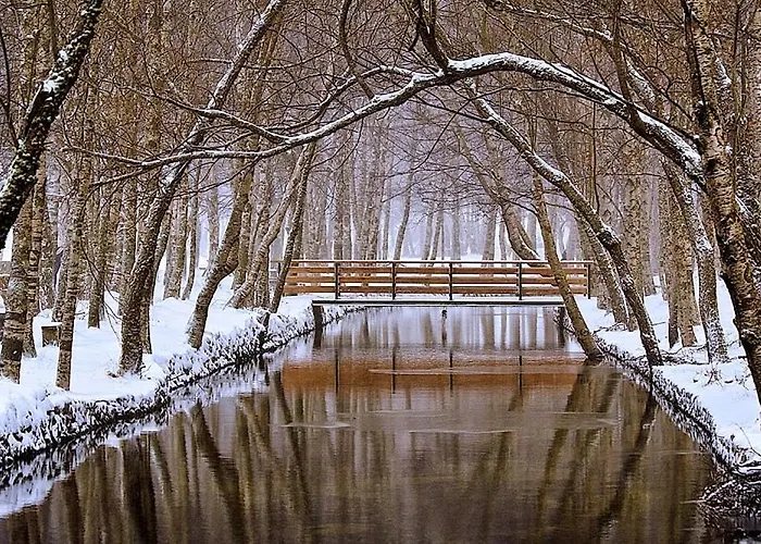 Apartman Casa Manuel I *