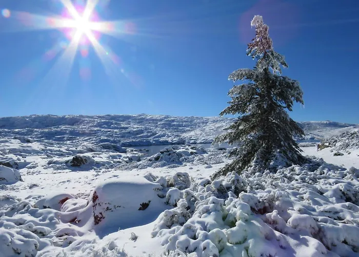 Apartman Casa Manuel I Sabugueiro